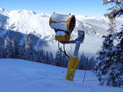 Snow cannon at the Tannwald run