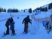 Mitey Mite Carpet - People mover/Moving Carpet