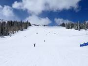 Slope at the Apex Express chairlift