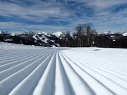 Perfect slope grooming in the Kolašin ski resort