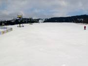 Beginner slope in the lower area