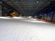 View from the mountain station along the main slope