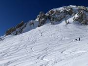 Powder slopes in Mineral Basin