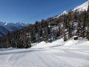 Tarlenta mid-station