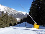 Snowmaking on the valley run