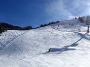 Slope at the Hochmaisbahn in Hinterthal