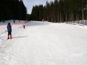 Beginner area at the valley station