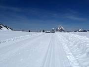 Trail on the Stoos with a view of the Mythen