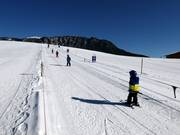 Kollerlift (practice lift)