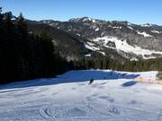 Slalomhang slope