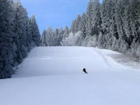 Ski resorts for advanced skiers and freeriding Southeast Czech Republic (Jihozápad) – Advanced skiers, freeriders Lipno