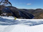 Difficult slope Black Snake