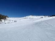 Village Trail in the upper section