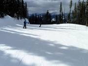 Groomed slope at Revelstoke Mountain Resort