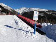 Conveyor belt of the ski school