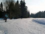 Trail at the Bleamlalm