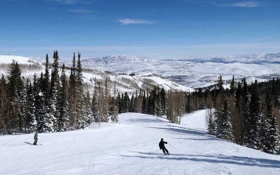 Skiing near Salt Lake City