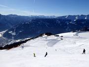 Slope Goldener Pflug