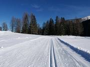 High-altitude trail Hutterer Böden