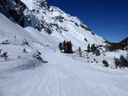 Easy slope at the Grünseelift