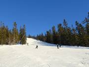 Difficult slope Kometen in Tandådalen