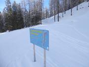 High-altitude trail Schlickeralm: Idyllic in the mountain forest