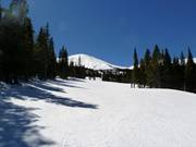Typical forest aisle slopes in Breckenridge