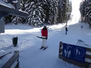 Bärenbadlift - T-bar