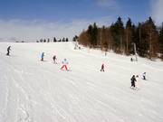 Easy slope at the Almwiesenlift