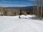 Lover's Lane downhill run