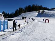 Tip for children  - Bärencamp in Russbach