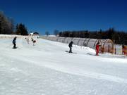 Junior Ski Circus practice area with covered people movers