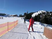 Übungsland Penken 1 - Rope tow/baby lift with low rope tow