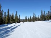 Very easy slope in the Trysil ski resort