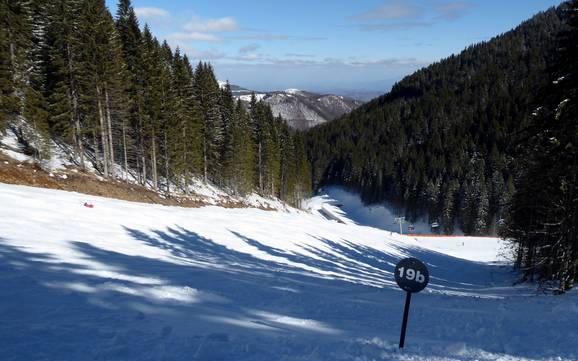 Ski resorts for advanced skiers and freeriding Serbia-South – Advanced skiers, freeriders Kopaonik