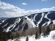 View of the Birds of Prey downhill run