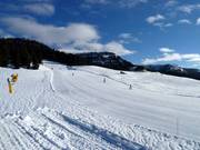 Wonderful Pioverna slope No. 25