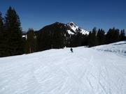 Easy slope Melchboden