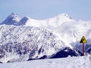 Freeriding can be dangerous – please observe the safety instructions!