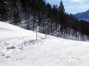 Slope markings in the ski resort of Loser