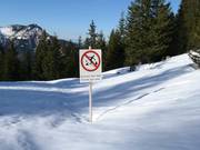 Protection of the forest