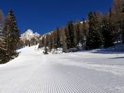 Perfect slope in San Martino di Castrozza