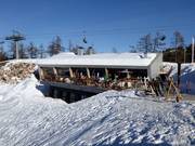 Gastronomy tip Rocce Rosse Mountain Lodge