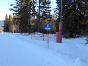 Slope marking at Arber