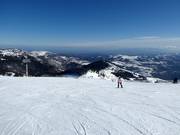 Slope No. 21 Krčmar