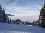 Family slope above the fog