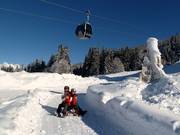 Tip for children  - Hochnössler toboggan run/Bifei's Hütt'n (Altenmarkt)