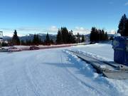 Free conveyor belt in Fiorentini