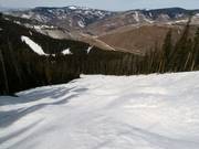 Mogul slope on the Front Side