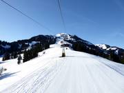 View of the Rinderberg in Zweisimmen